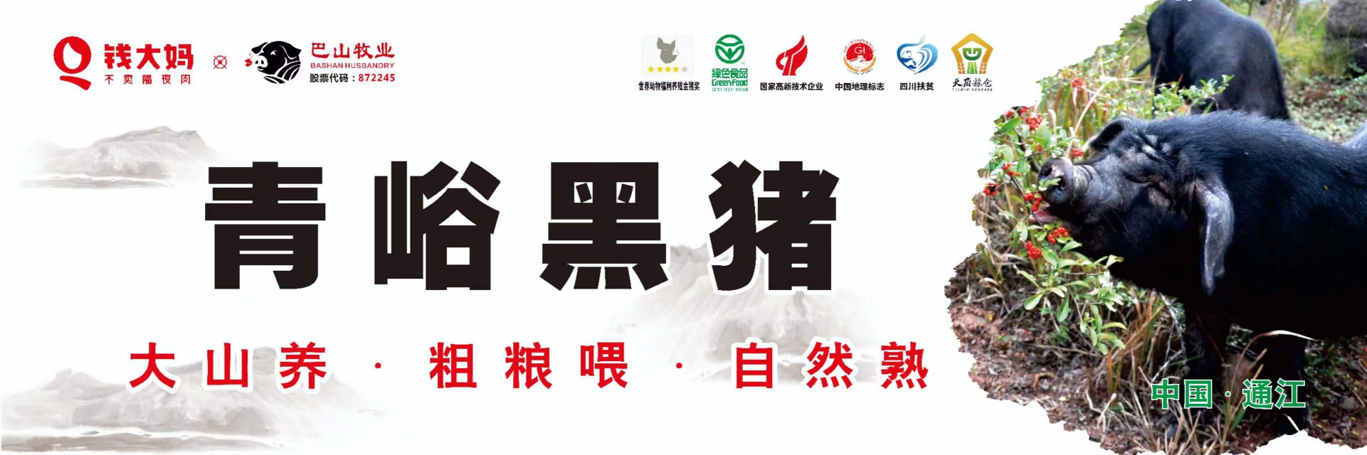 8月19日，青峪黑豬肉 正式在“錢大媽”重慶市場開賣